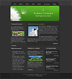 Turnkey website #11727