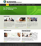 Turnkey website #19608