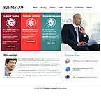 Turnkey website #21215