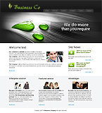 Turnkey website #22856