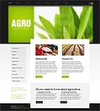 Turnkey website #31051