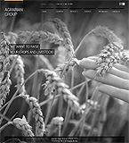 Turnkey website #31667