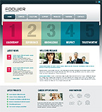 Turnkey website #33242