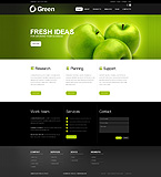 Turnkey website #34383