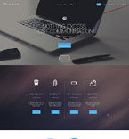 Turnkey website #56025