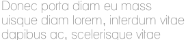 Donec porta diam eu mass
uisque diam lorem, interdum vitae 
dapibus ac, scelerisque vitae