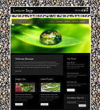 Turnkey website #36432